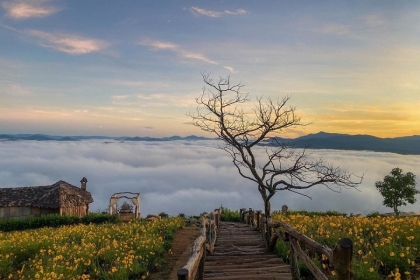 NHA TRANG – DA LAT Tour 5 Days 4 Nights
